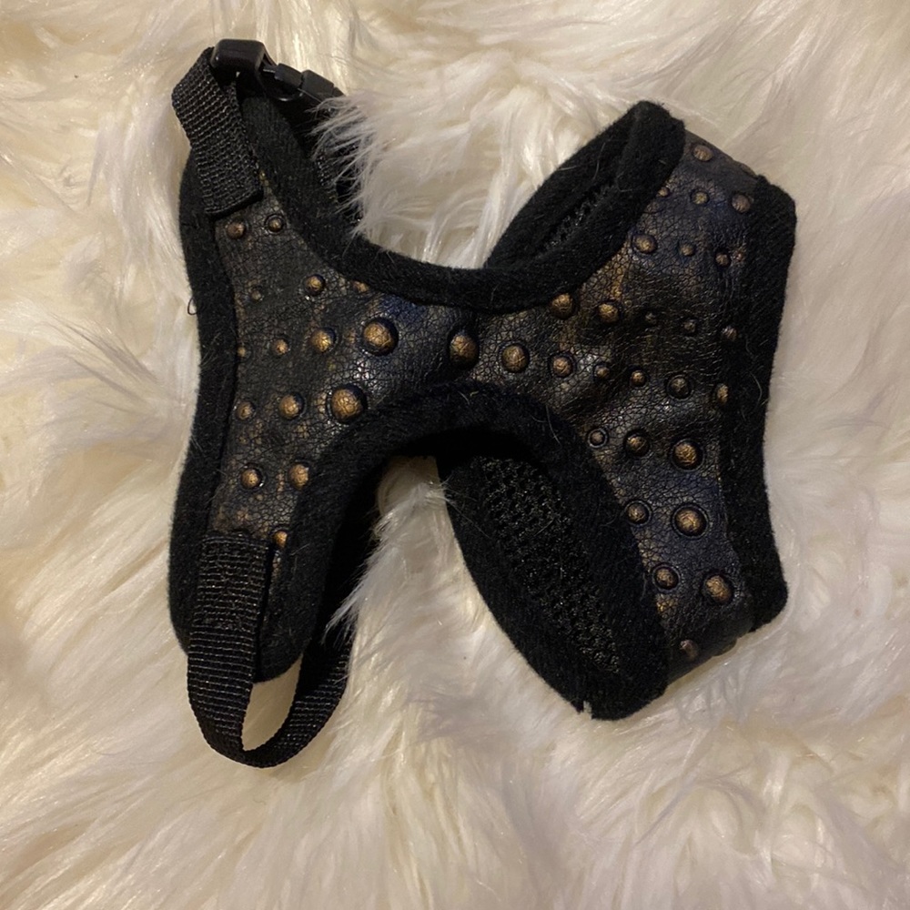 Black and gold dog harness Size small
